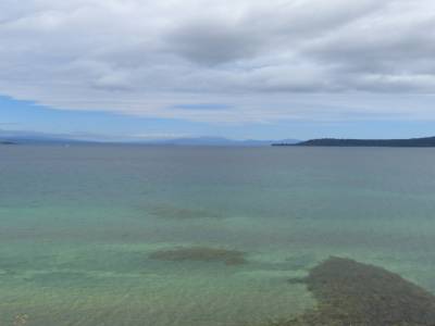 Taupo