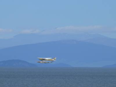 Taupo