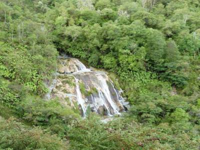 Tongoio Falls