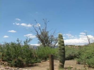 Arizona