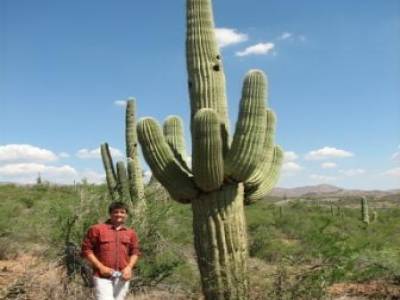 Arizona