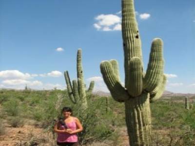 Arizona