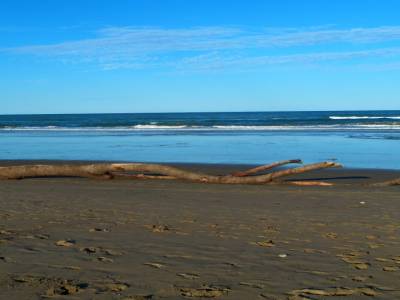Ocean Beach