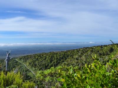 Mount Taranaki