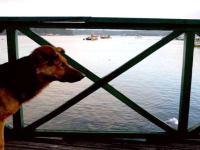 Isla Chiloé