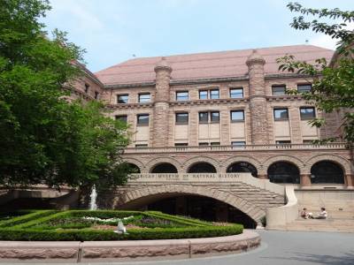Muséum histoire naturelle 