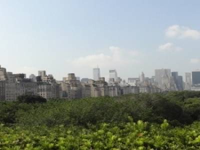 Panoramique du toit  du Metropolitan Museum