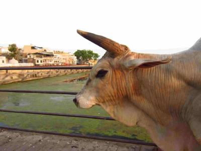 Pont de Jaipur
