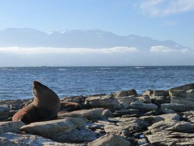 Kaikoura