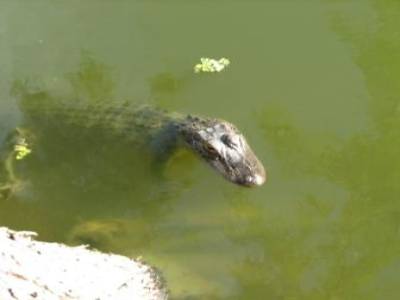 Louisiane