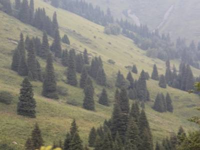 Belle rando pour se détendre après Almaty. A seulement 10km du centre.