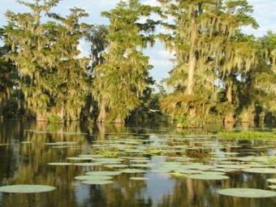 Louisiane