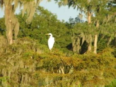 Louisiane