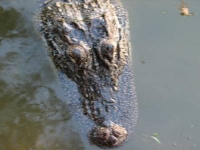 Louisiane