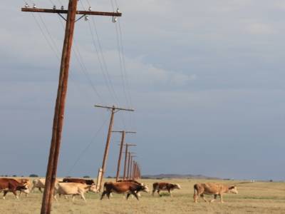 Encore ce Far West!
