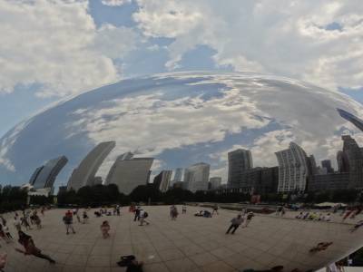 The  Bean