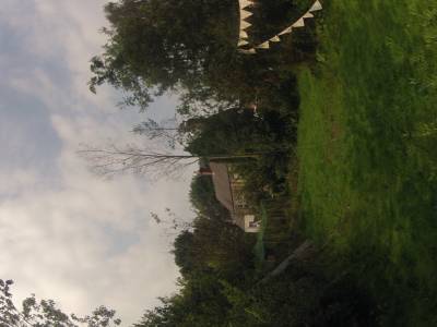 alors voila un des arbres que j'ai abatu plein centre tout mort et le plus grand 