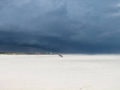 St-Augustine