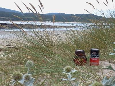L'estuaire a maree basse