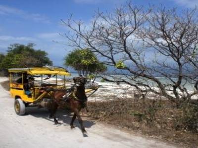 Le mode de transport sur les Gilis