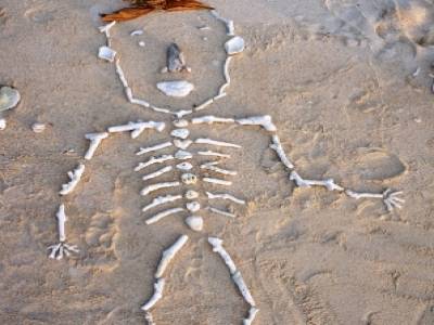 Atelier bricolage sur une plage...