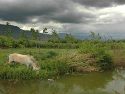 Environs de Lijiang