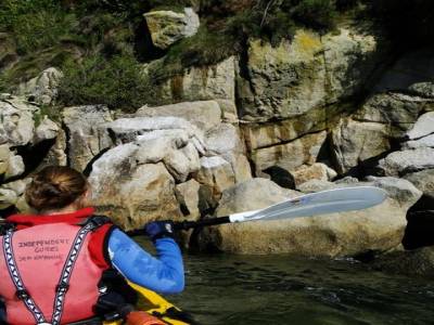 A deux pas du kayak, des phoques