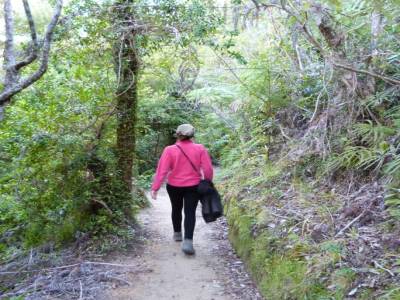 Abel Tasman National Park