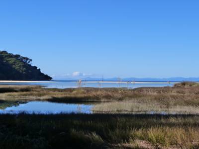 Abel Tasman National Park