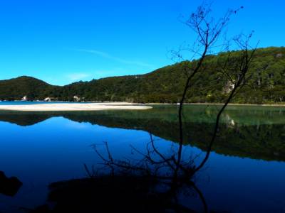 Abel Tasman National Park