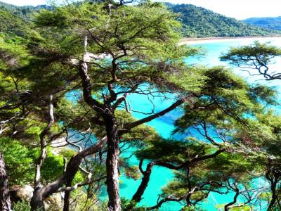 Abel Tasman National Park