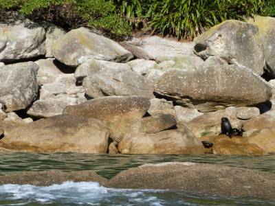 Abel Tasman National Park
