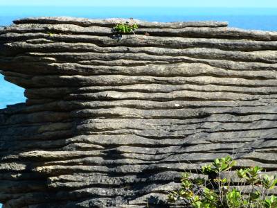 Punakaiki