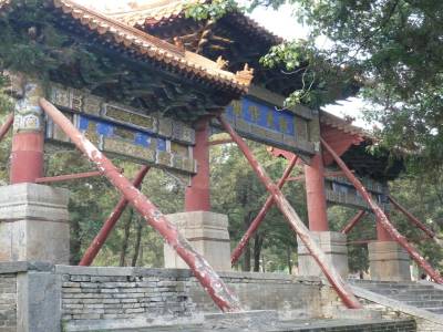 Zhongyue Miao