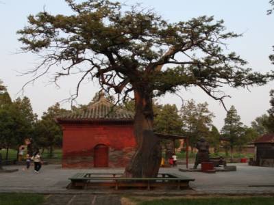 Shaolin Si