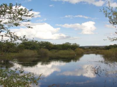 Bords de fleuve .. des milliards de moustiques!
