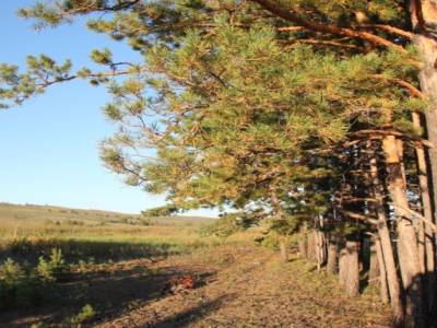 Retour en Russie. Beaux paysages de collines, de forêts et de prairies ...
