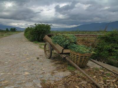 Lijiang Yunnan