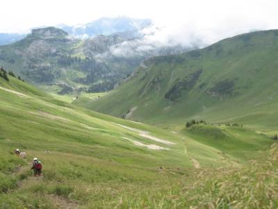 Col de Bise