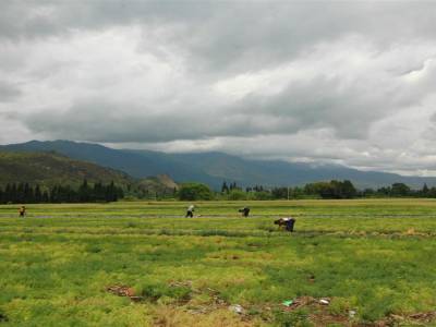 Lijiang Yunnan