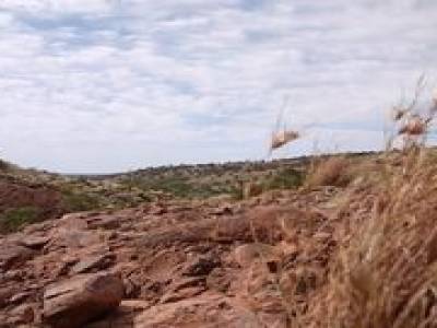 Les Olgas