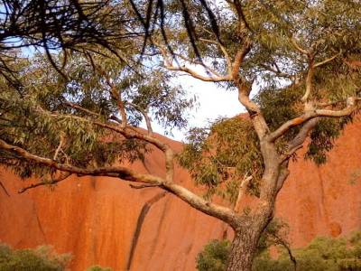 Uluru