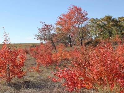 Une rude journée qui s'annonce avec en plus ces plaines monotones à traverser.. mais de belles couleurs d'Automne aussi.