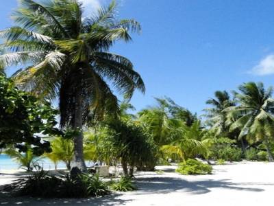 Plage juste devant notre bungalow