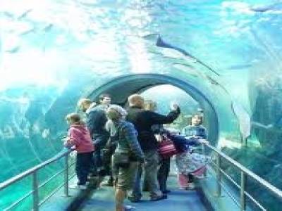 Aquarium of Melbourne