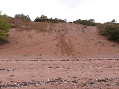 Les dunes