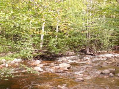 Parc national des Hautes Gorges