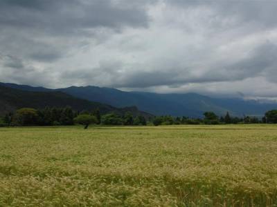 Lijiang Yunnan