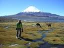 Parinacota 6500m