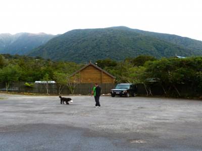 Fox Glacier